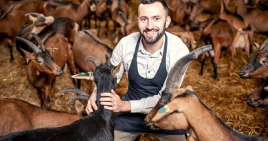PPR Goat Disease