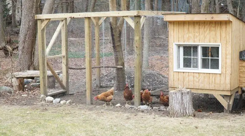 easy pallet chicken coop