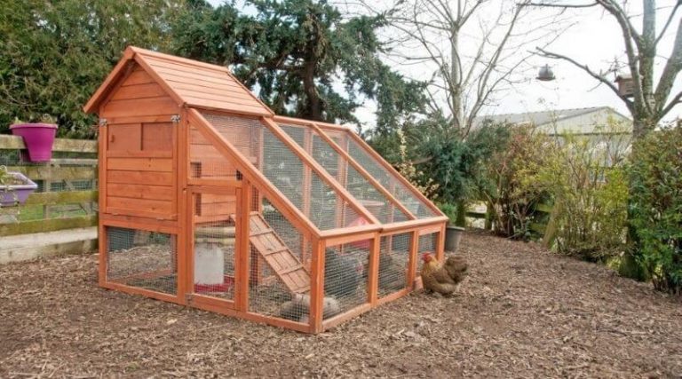 pallet chicken coop