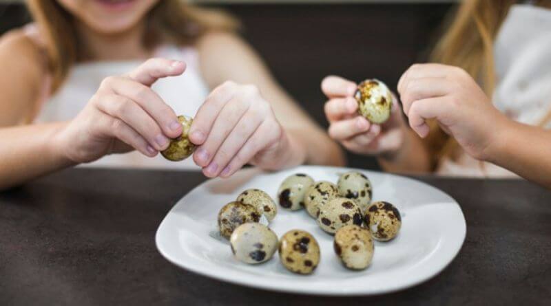 How to crack and peel quail eggs