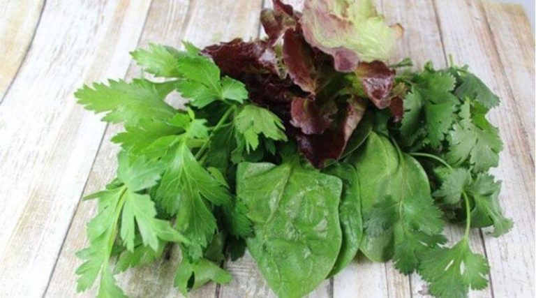 Non Cruciferous Vegetables