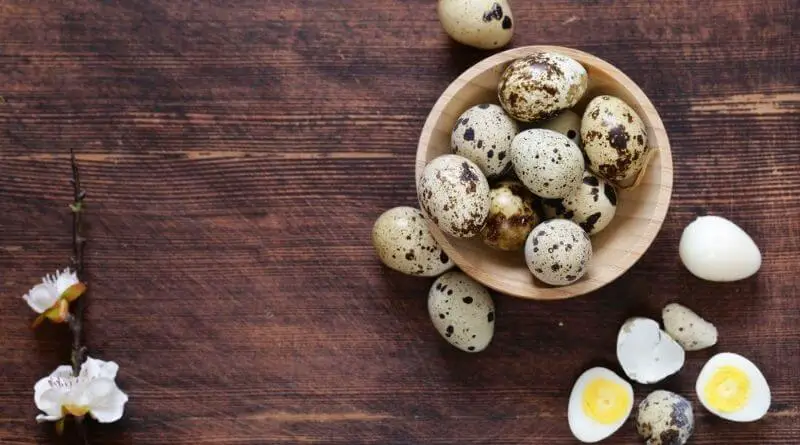 boil quail eggs