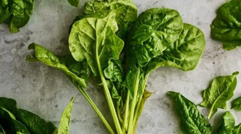 The Long Awaited Non Cruciferous Vegetables List To Take Care Of Your ...